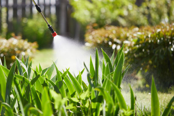 24/7 Emergency Cockroach Control experts in McCormick, SC