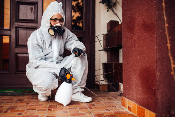 Reliable Cockroach Control contractor in McCormick, SC by Nex Pest Control